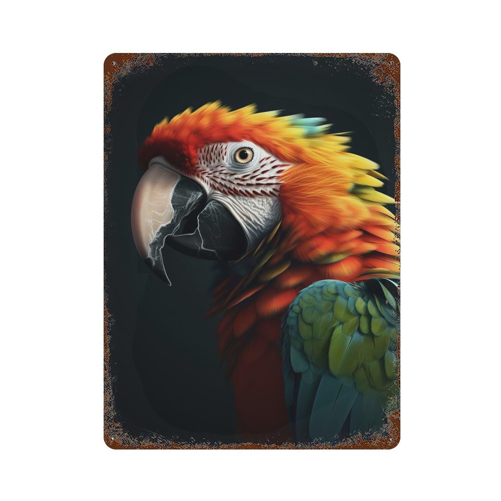 Colorful Parrot Vintage Metal Tin Sign 15.7"x11.8", for Garage, Bar And Workshop Decor, Novelty Wall Decor
