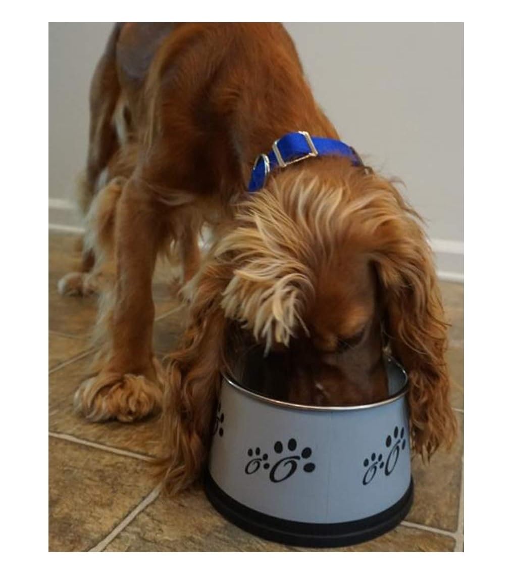 Dog Bowls Stainless Steel Non-Tip Keep Dry Long Ear Breed Food Water Dishes 30oz