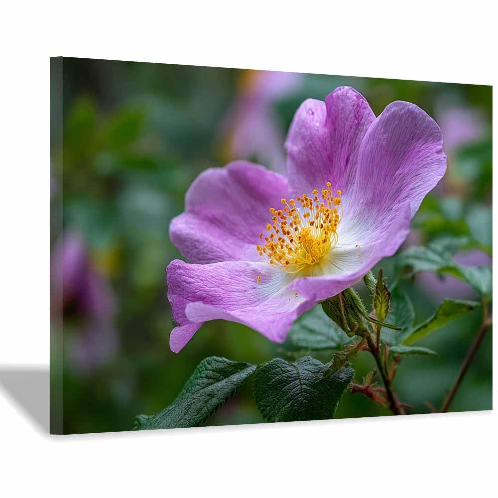 ZAMAEIU Nature Landscape Canvas Wall Art Single-petalled Rosess posters picture, Modern Wall Decor, for Bedroom, Office, Living Room, Corridor, classroom(Purple;)-60x90cm Framed