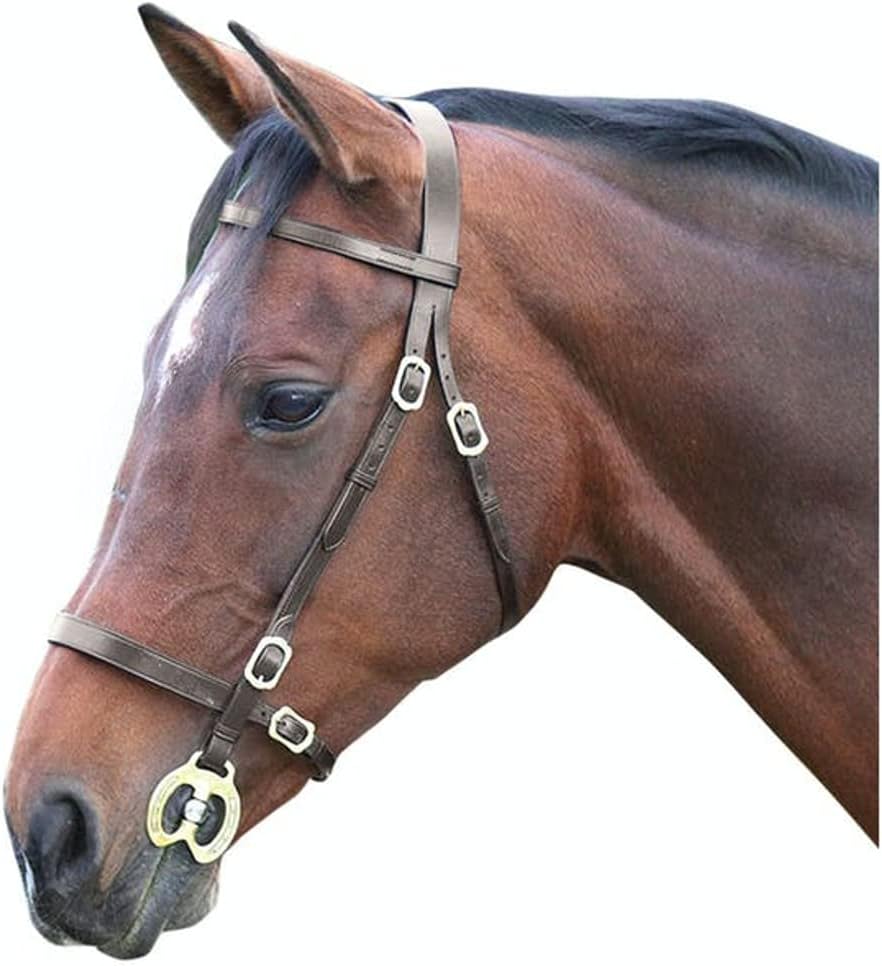 Blenheim Plain Inhand Bridle - Havana Full