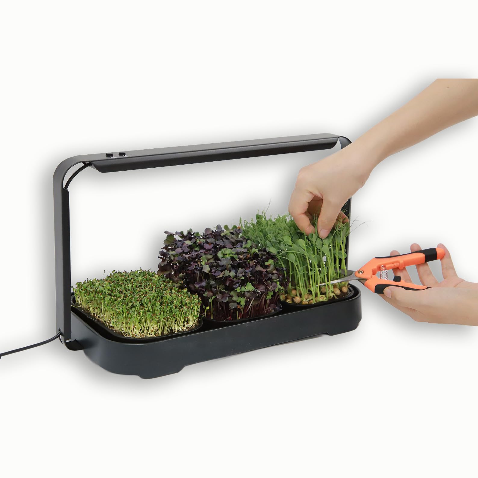 Microgreens Zestaw do uprawy w pomieszczeniach, do użytku wewnątrz i z oświetleniem LED, 3 mikrozielone tace do uprawy, 6 mat jutowych, zestaw do uprawy w pomieszczeniach i zestaw do