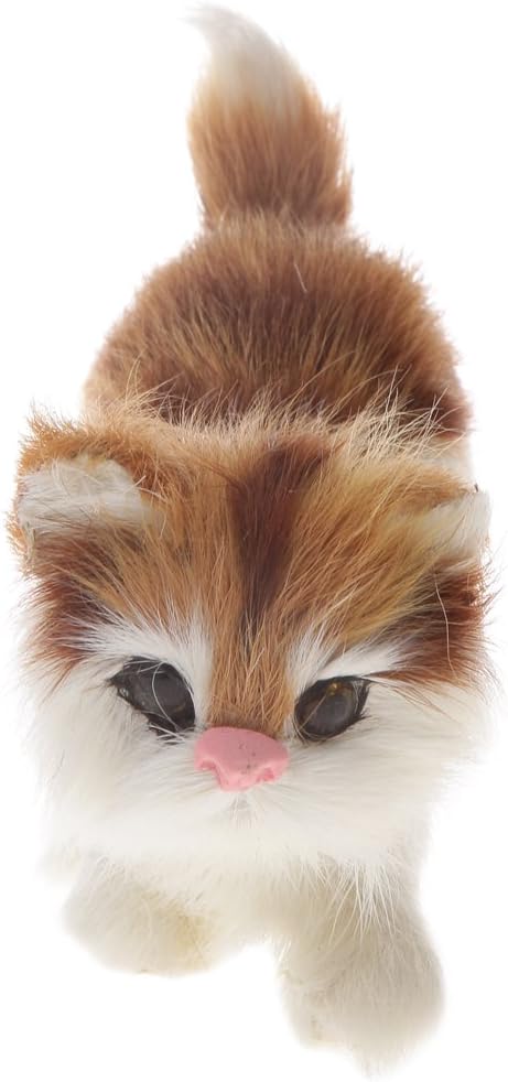 pelliccia amici veri gatti