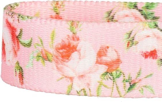 Blueberry Pet 9 Patterns Durable Spring Scent Inspired Floral Rose Baby Pink Dog Leash 5 ft x 3/8 for Puppy, X-Small, Leashes for Dogs
