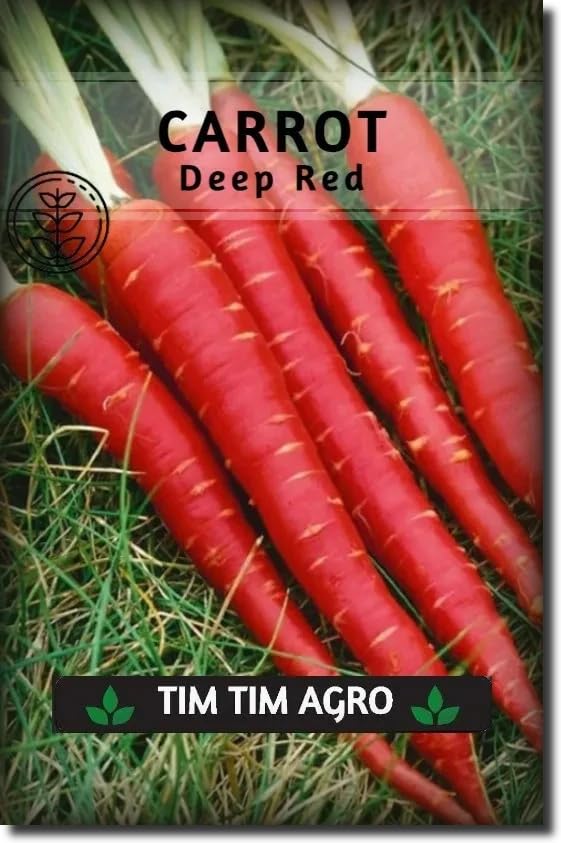 Tim Tim Agro 500g Carrot Seeds ~ Deep Red ~ 90% Germination, Full of Flavour (B0DF6JNGHR) Amazon Price History, Amazon Price Tracker