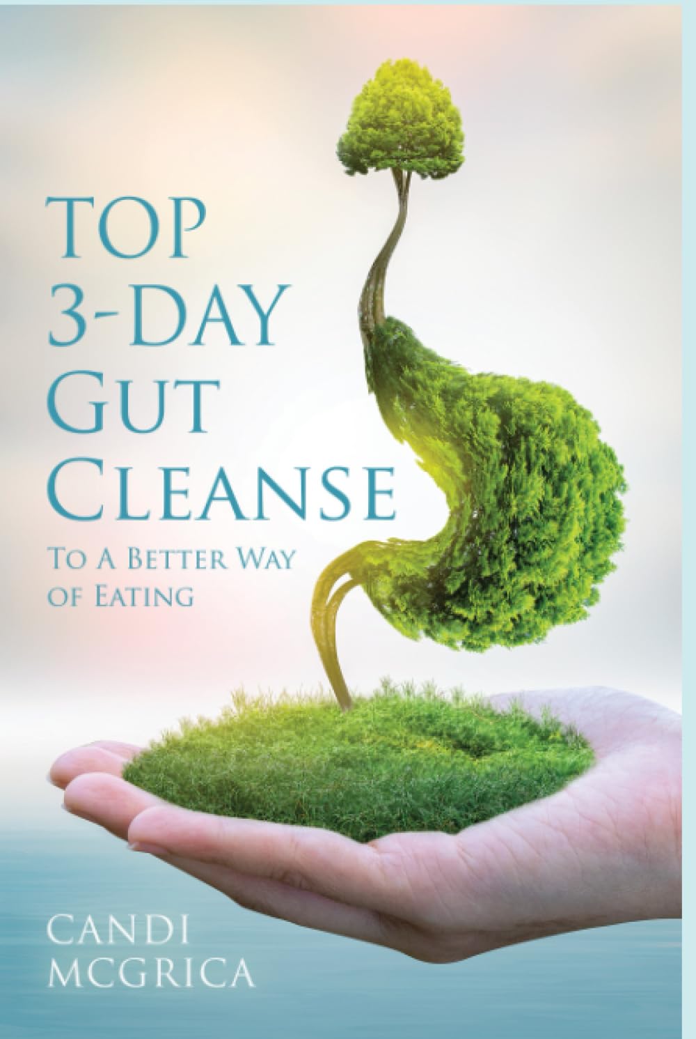 Top 3- Day Gut Cleanse: To a Better Way of Eating