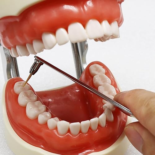 Miniatura 6 de PIKLIP Soporte para palillos de dientes de acero inoxidable