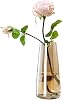 Jarrón de vidrio moderno FANTESTICRYAN, 8.7''H jarrones de flores decorativos, ámbar cristal | jarrones de cristal de colores para flores frescas o artificiales, para centro de mesa de oficina en hogar, decoración, regalo de inauguración o boda para seres queridos 1