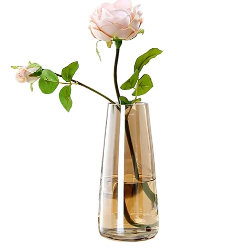 FANTESTICRYAN Ins Modern Glass Vase Irised Crystal Clear Glass Vase for Home Office Decor (Crystal Amber) - 8.7x 2.5 - Crystal Amber