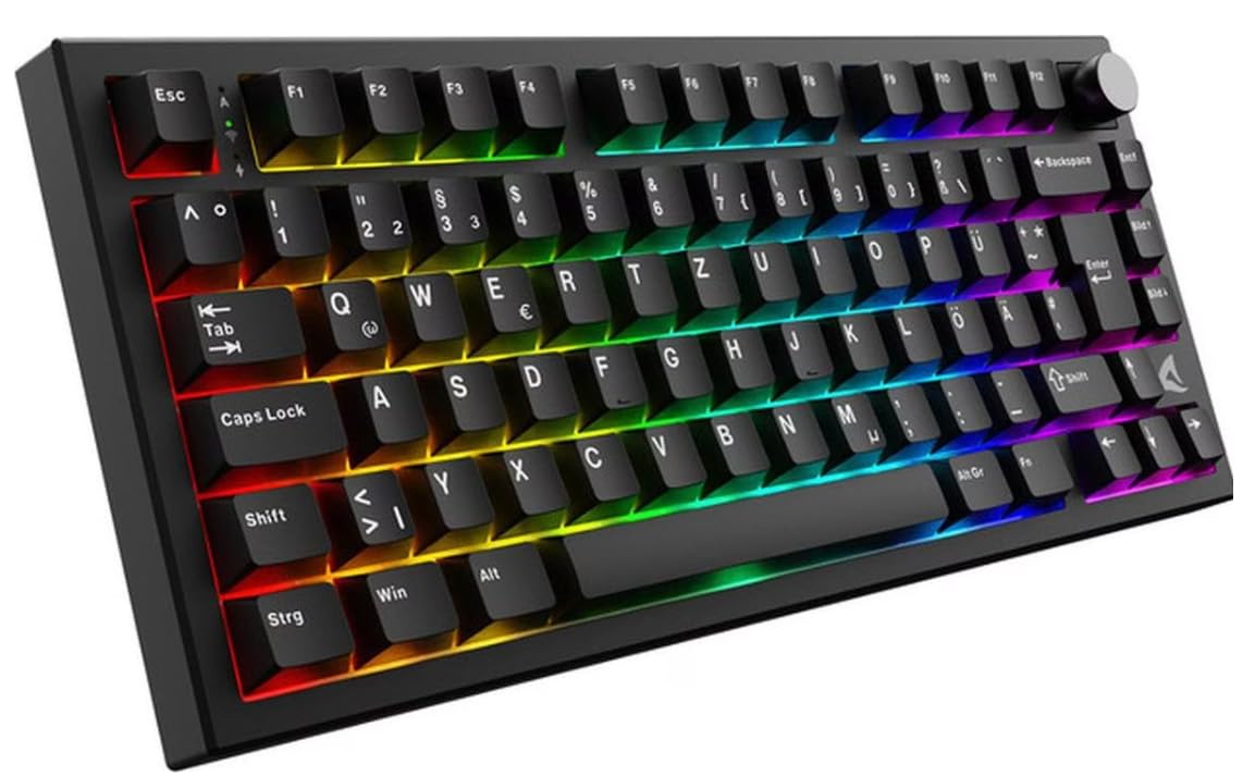 Sharkoon SKILLER SGK55W - Tastiera da gioco, 4044951045631, meccanica con switch lineari, layout DE, prestazioni di alta qualità per gamer