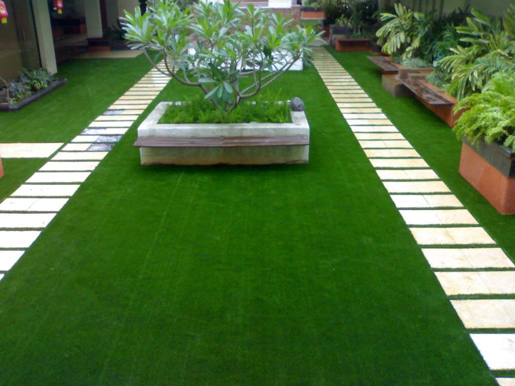 Saibalaji Enterprises Lawn Fertilizer For Excellent Growth Of Lawn Grass By Saibalaji Enterprises 5000 G (B07L4K17FK) Amazon Price History, Amazon Price Tracker