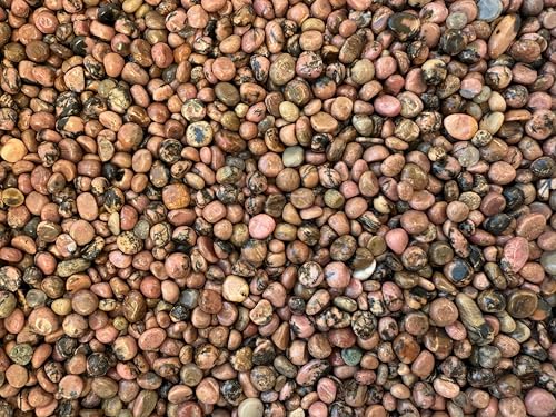 Image of GAF TREASURES 2 oz Lot Natural Semi Tumbled Rhodonite Gemstone Chips, Crushed Mini Rhodonite Crystals, Undrilled Crystal Chips (Rhodonite)
