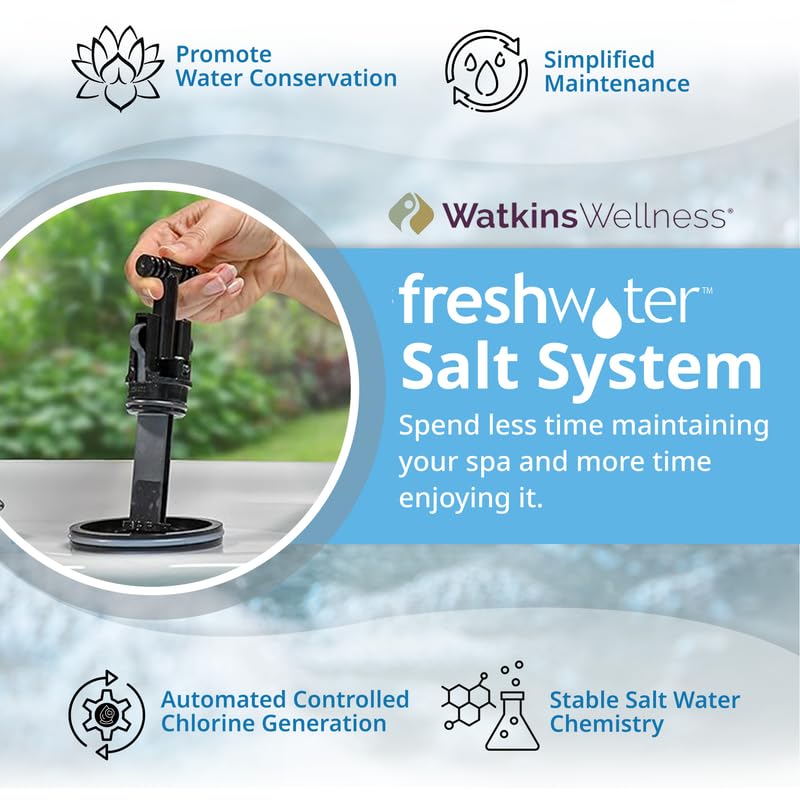 Salt System Ersatzkartusche Für Hot Spring & Caldera Spas – Für Salzwasser-Whirlpools, 4 Monate Haltbarkeit