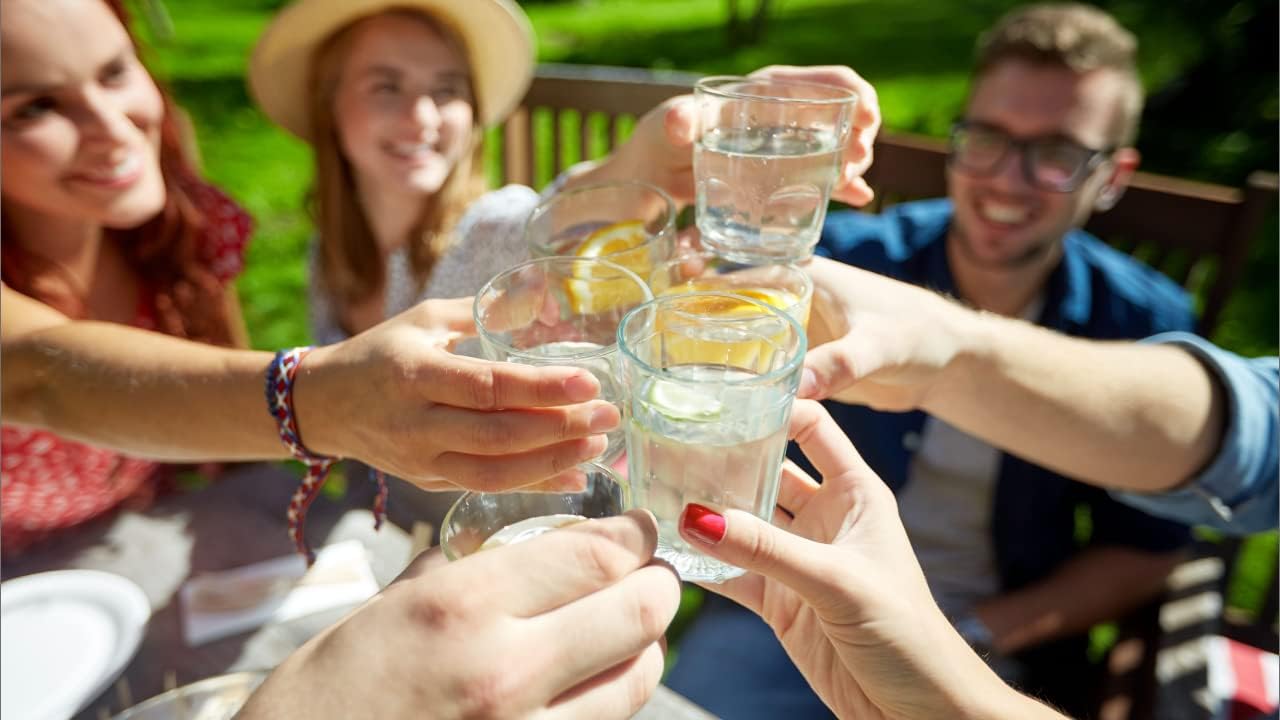 Doulton ¦ W9123050 ¦ 10" Biotect Ultra ¦ Authentic Drinking Water Ceramic Replacement Candle Element Filter ¦ 2504 ¦ White ¦ NSF Certified ¦ M12 Thread ¦