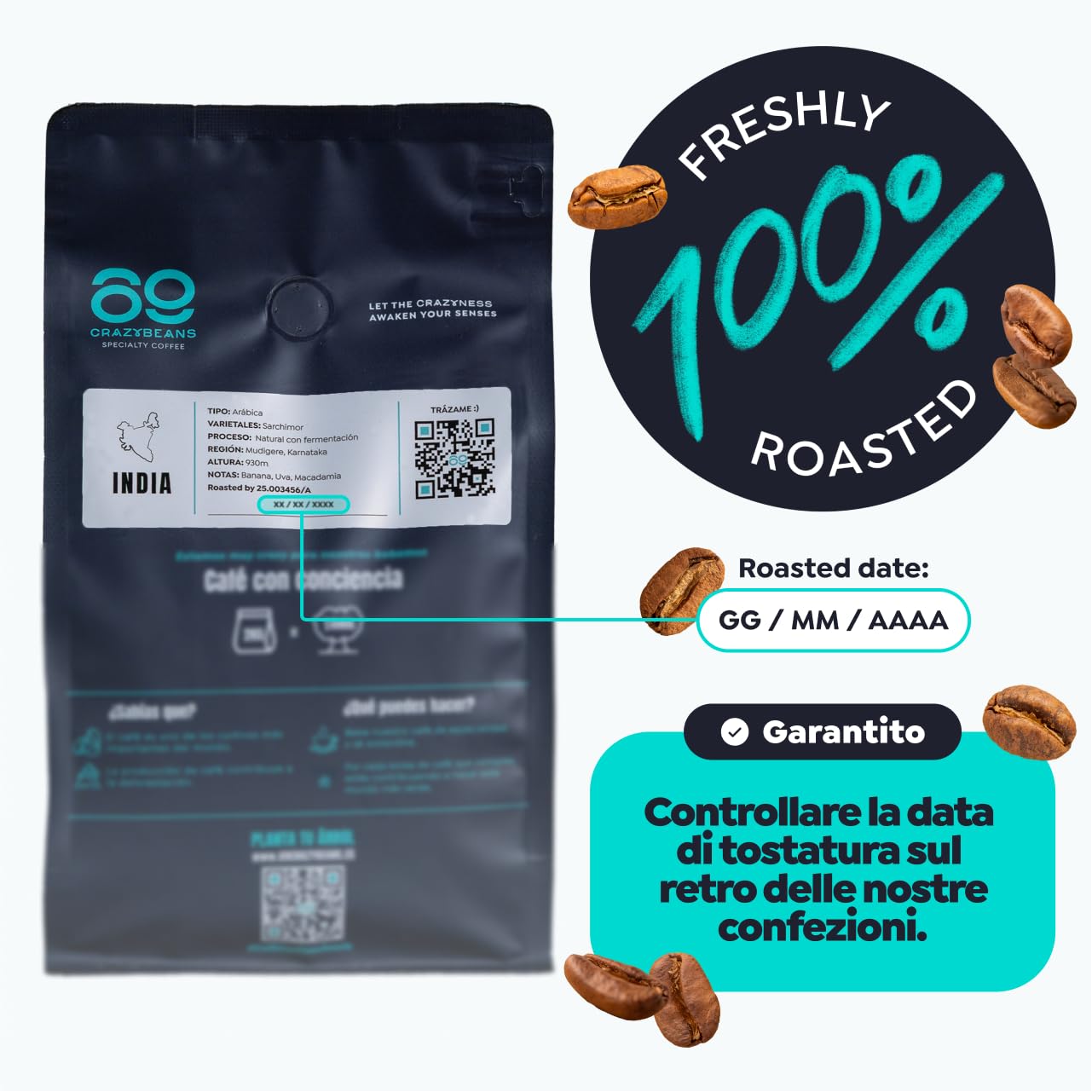 Chicchi di caffè speciali | Indian Sarchimor | 100% Arábica | Natural | 84 puntos SCA | Chikmagalur,Karnataka | 500g | 69 CrazyBeans Specialty Coffee | Chicchi di caffè Arabica naturale