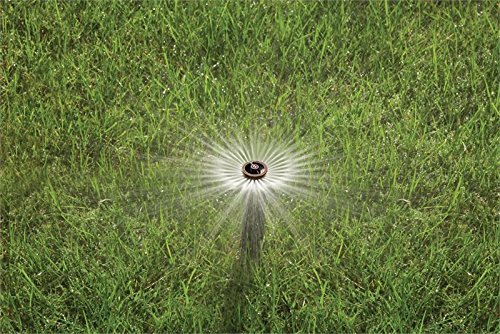 Rain Bird 1806Van - 6" Professional Pop-Up Sprinkler - 5 Pack - Adjustable Pattern (0 To 360 Degrees) #TOP4