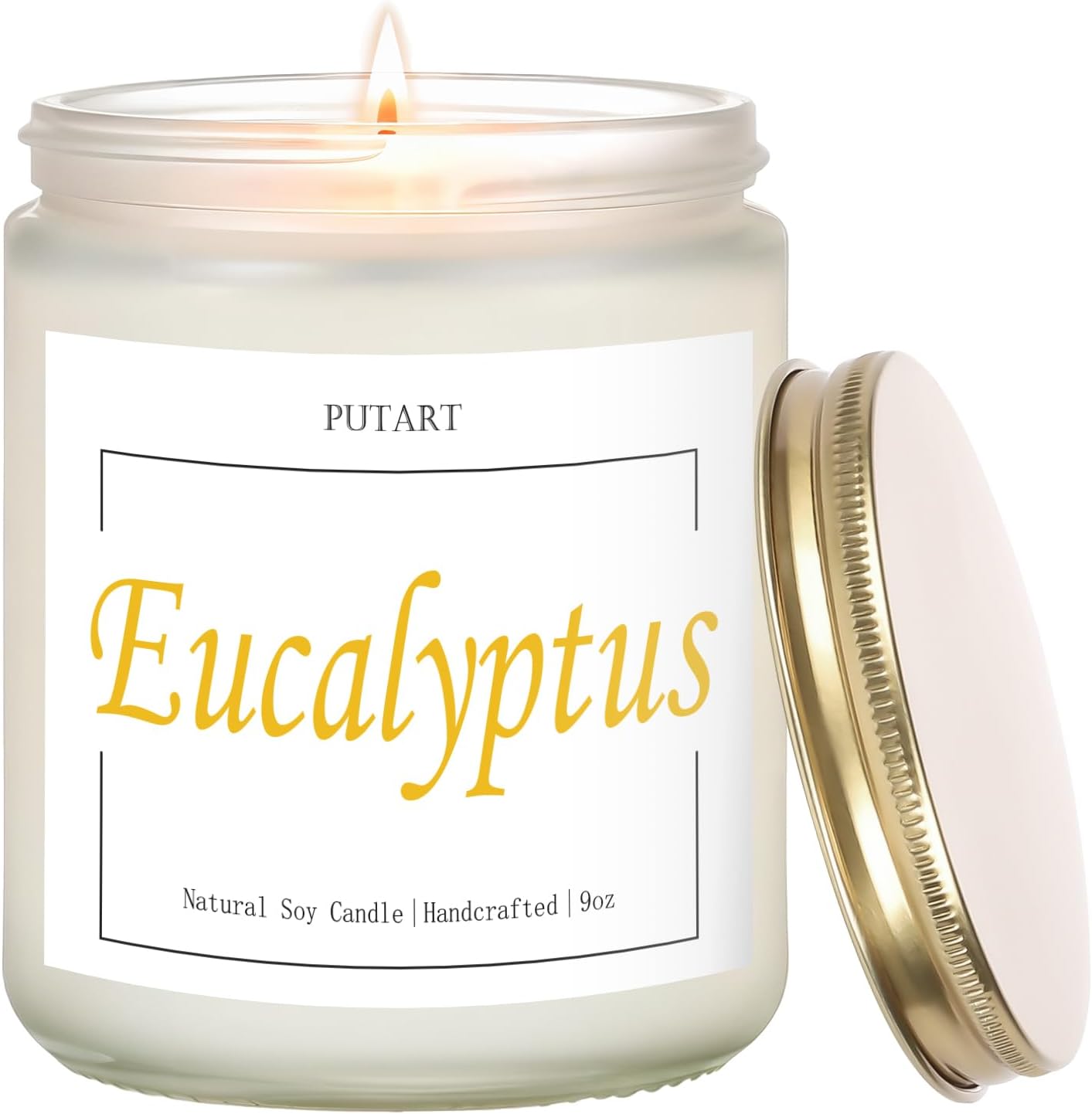 Eucalyptus Mint Highly Scented Candles, Natural Soy Aromatherapy Organic Non Toxic Candles with Long Lasting Burn, Luxury Essential Fragrance Jar Candle Gift for Birthday, Housewarming (9oz)