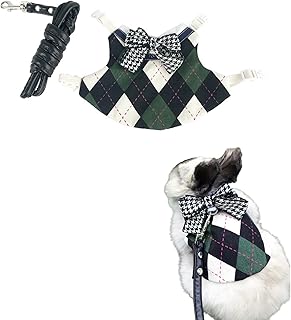 Rabbit Harness and Leash for Walking Escape Proof - Cute Preppy Style Mesh Breathable Bunny Vest Harness Outdoor Training - Also Suit for Ferret Kittn Puppy Small Animals (Forest Green Bow,Small)
