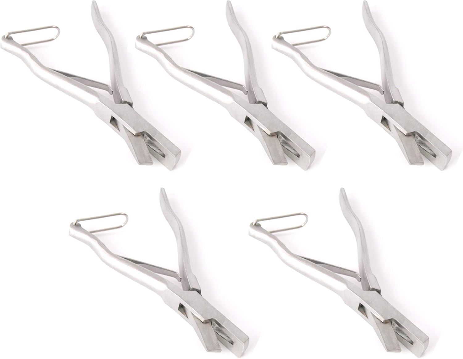 OdontoMed2011® 5 Pieces Ear Notcher V Shape Medium Veterinary