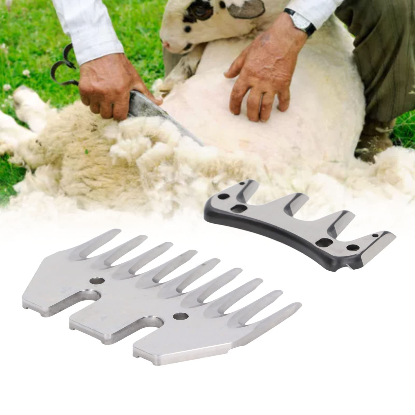 Yosoo Health Gear Lames de Rechange pour Cisailles à Moutons à 9 Dents, Lames de Tondeuse Professionnelles en Acier à Haute Teneur en Carbone pour Alpagas, Chèvres, Outil de Bétail et Lame de