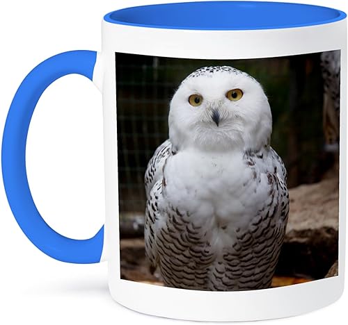 3dRose mug_79143_6 Taza de dos tonos azul con texto en inglés "Pretty White Snowy Owl- Birds- Animals" (11 onzas), multicolor