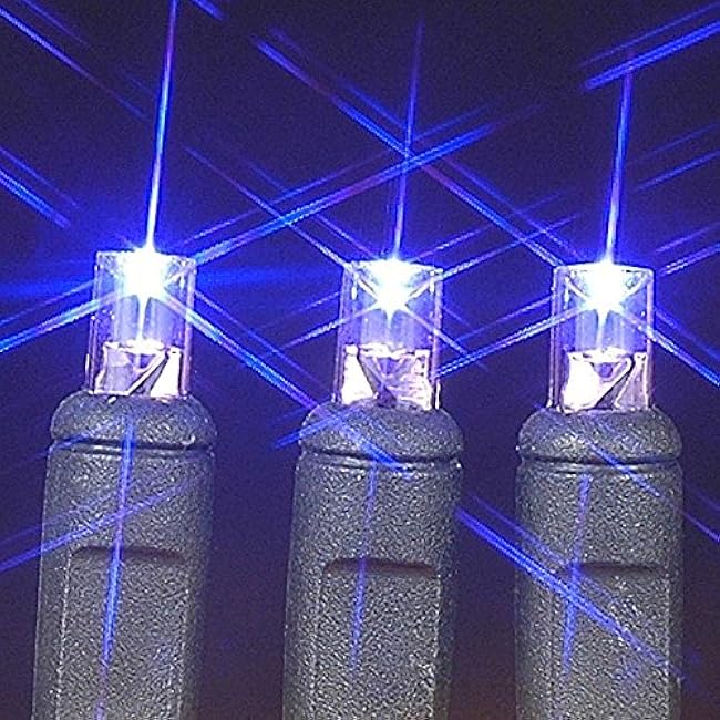 Novelty Lights 11 Feet Long, 50 LED Mini Black Wire Christmas Lights, Purple, End to End Connectable, UL Listed for Indoor/Outdoor Use