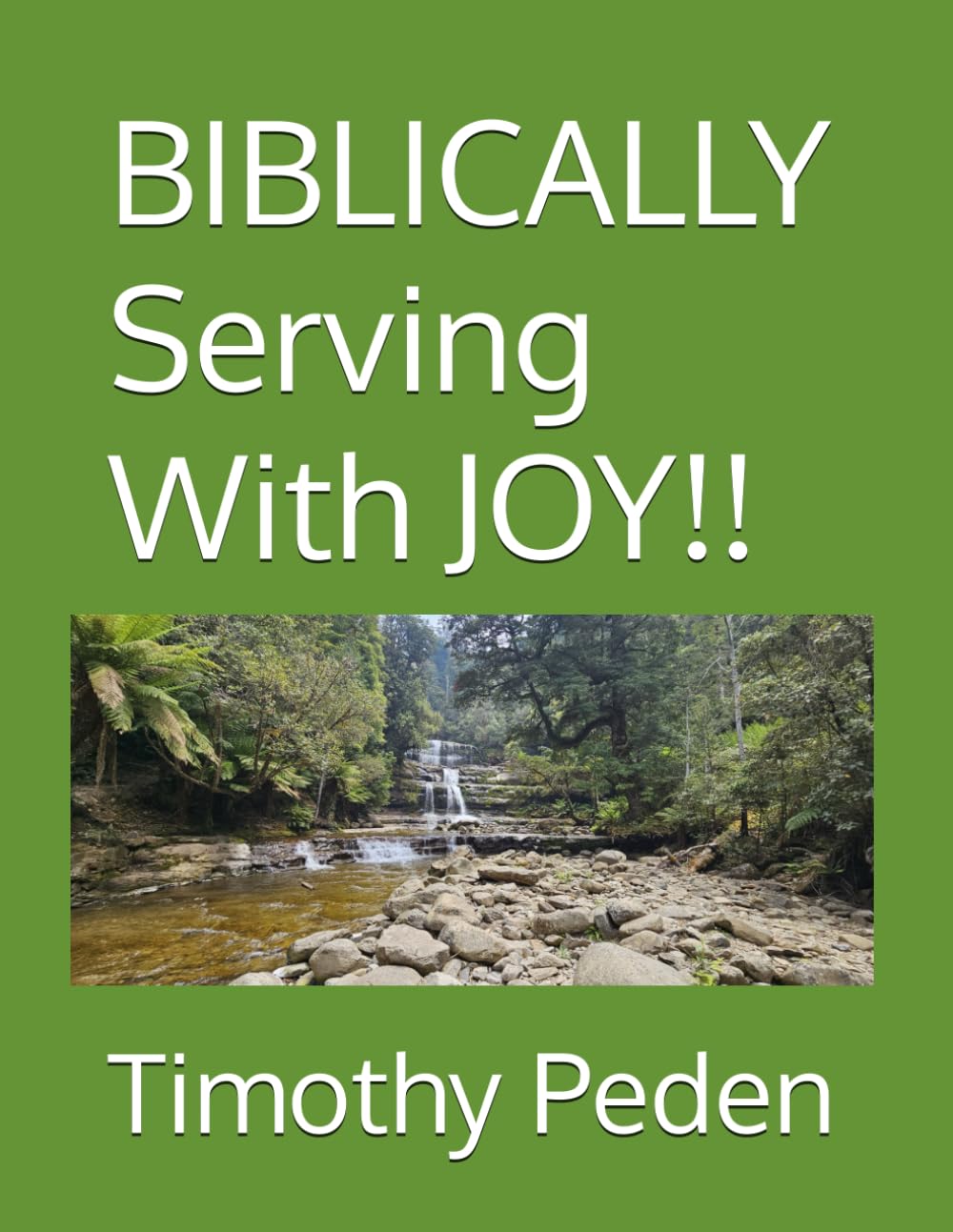 BIBLICALLY Serving With JOY!!: 3 (Biblically ..... Understanding Christianity, Service and Trials.)