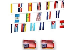 ANLEY Latin America 21 Countries String Flags
