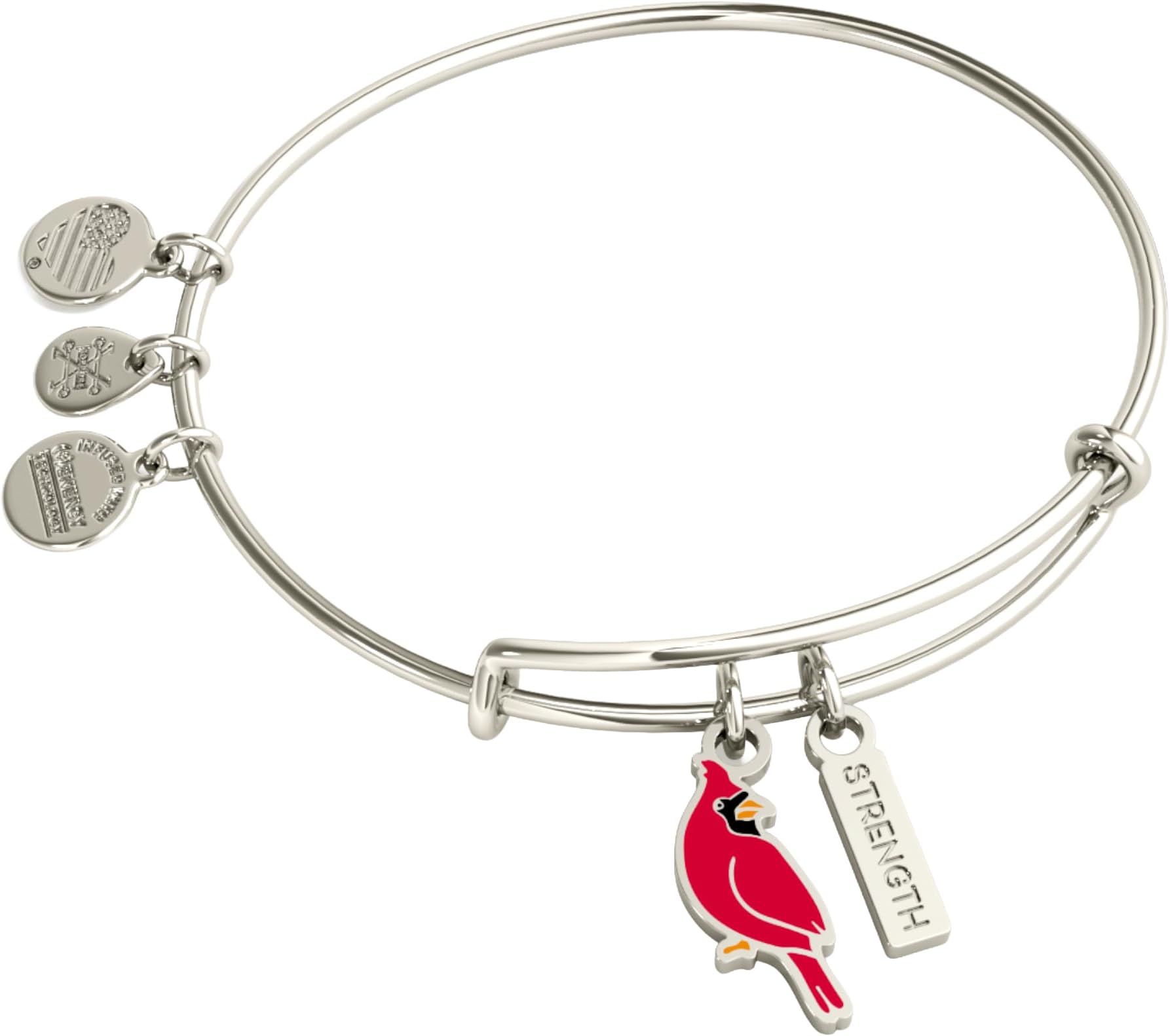 Strength' Cardinal Duo Charm Bangle Bracelet