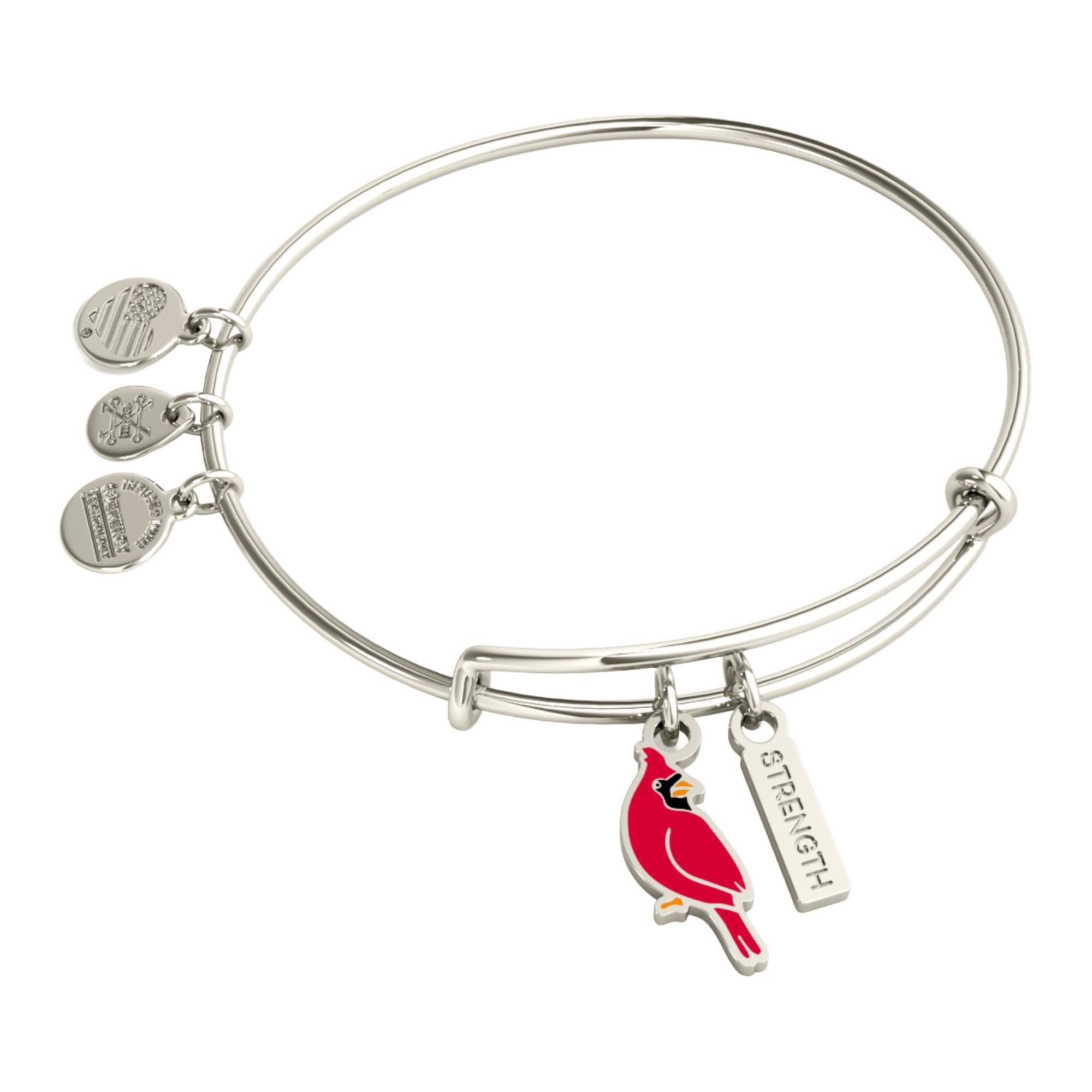 Strength' Cardinal Duo Charm Bangle Bracelet