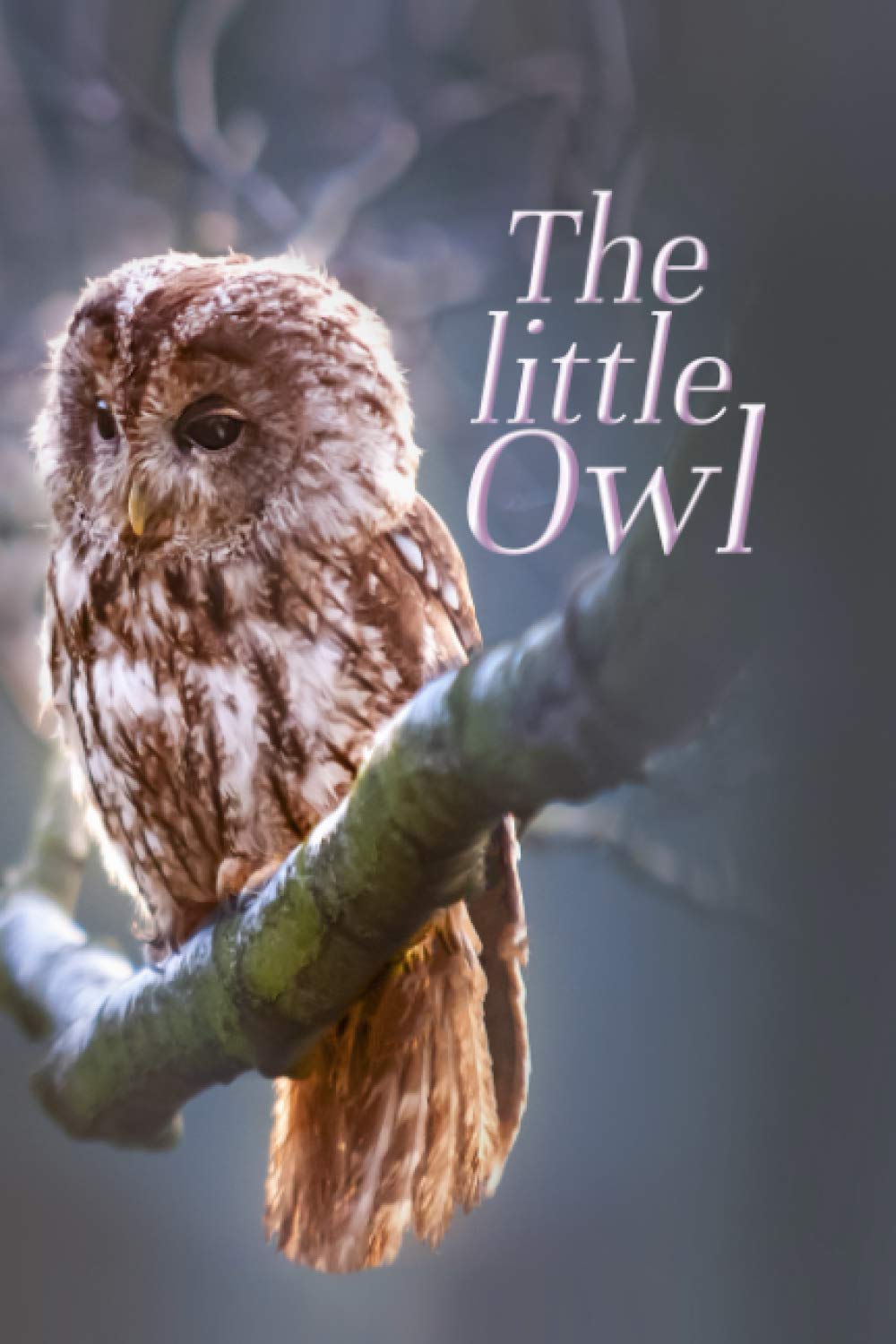 The Little Owl: Discreet Password Book with Tabs - Disguised Password Organizer Logbook with Alphabetical Pages - Log Book to Store Passwords