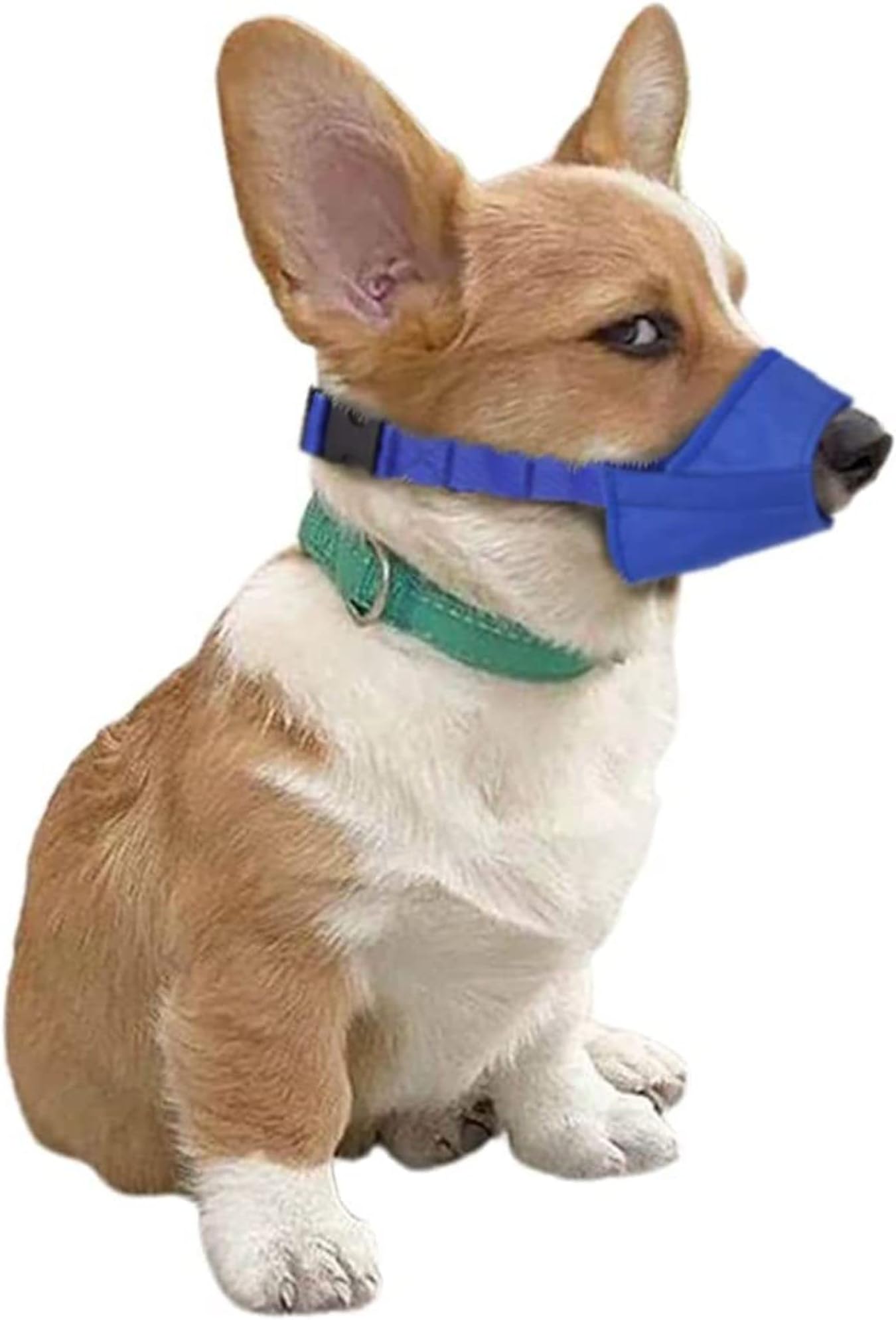 Parts Express , Cozy Quick Muzzle Blue