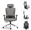 boulies Ergonomic Office Chair, Home Desk Chair, High Back Mesh Chair with Adjustable Seat Depth, Computer chair with lumbar support (Mesh, Grey)