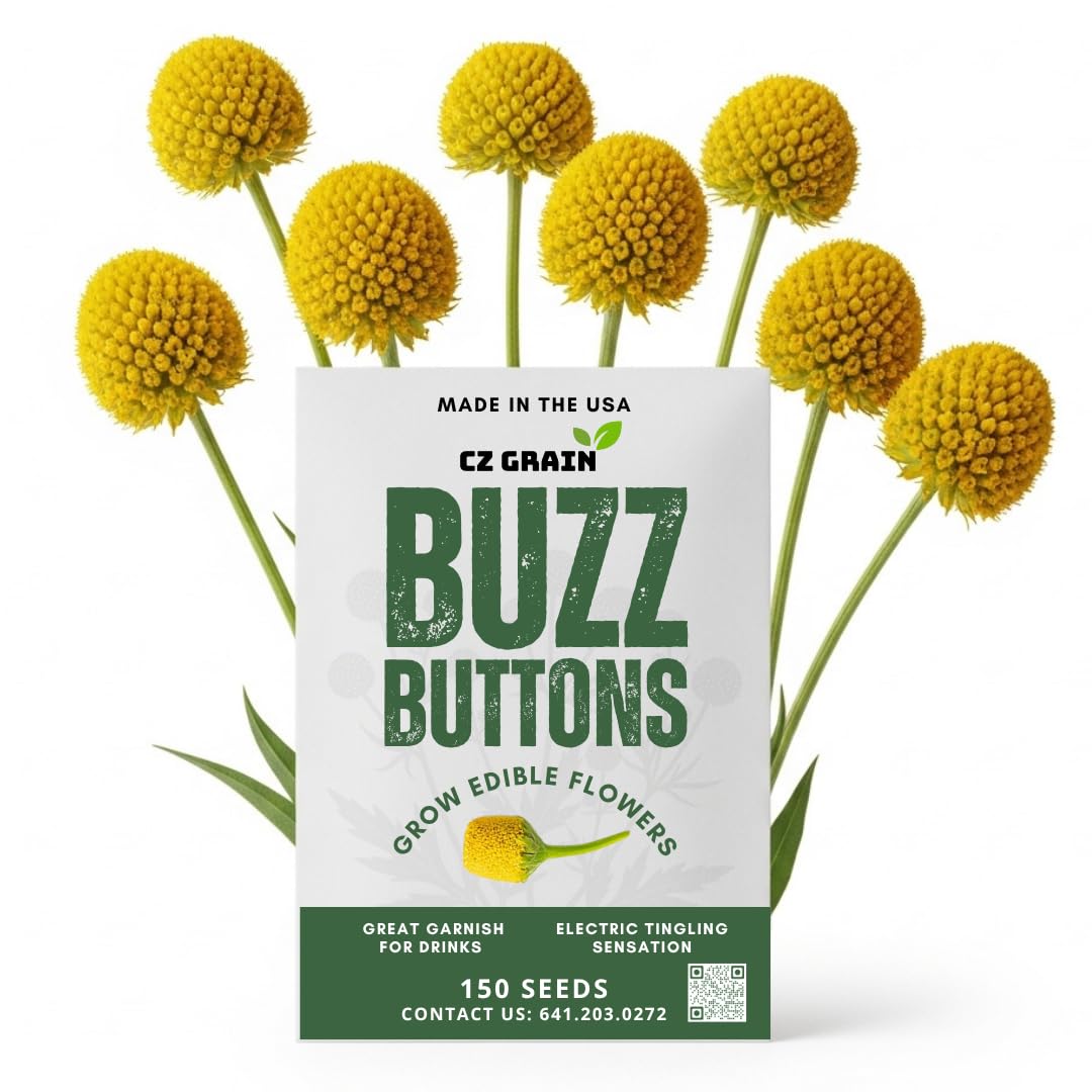 150 Buzz Button Seeds – Spilanthes - Acmella Oleracea – Electric Daisy Flowers – Edible Flower Seeds for Cocktails, Culinary Garnish, Gardening & Natural Toothache Remedy – Easy-to-Grow