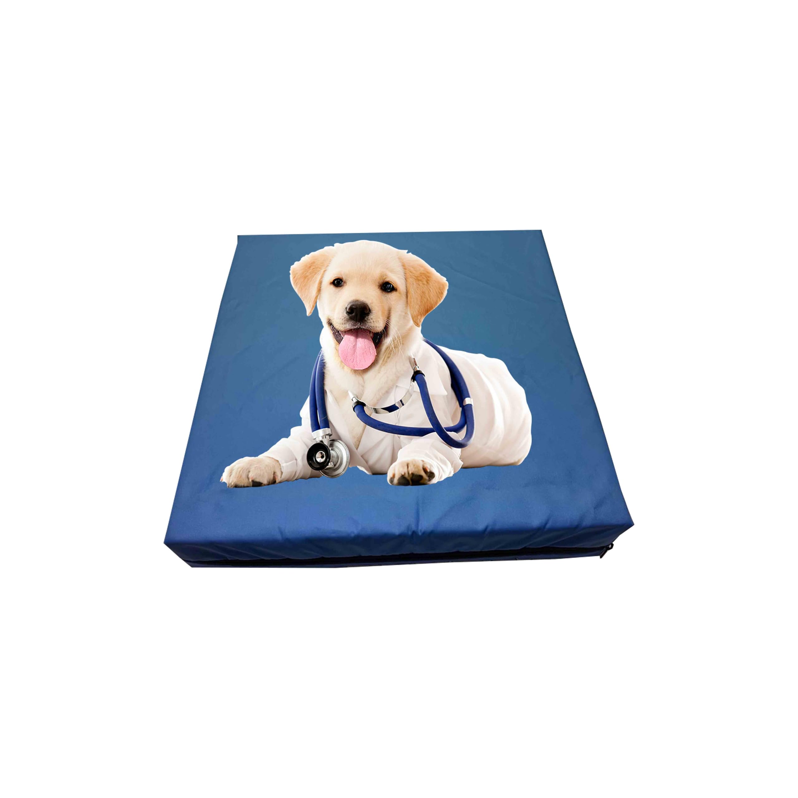 GRIZZLY FOAM Waterproof Dog Bed Cushion and Mattress for Indoor and Outdoor Use with Washable & Removable Zipped Cover and Custom (Royal Blue, 77x52x5cm)