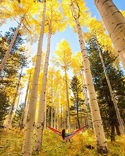 Hieha Double Camping Hammock with Mosquito Net, Portable Nylon Hiking Hammocks for Trees, Travel Outdoor Gear Camping Essential Hammock for 2 Adults(Red)