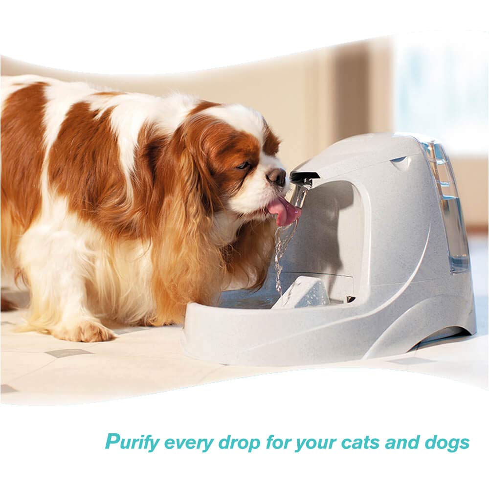 Filtro de Agua Compatible con Drinkwell Platium Pet Dog Cat Fountain Premium Filtros de carbón 12 Unidades