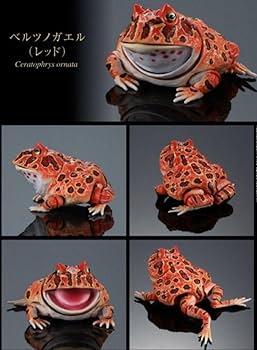 いきもの大図鑑アドバンス ツノガエル 全４種類 おまけ付き リアルフィギュア Amazon | いきもの大図鑑アドバンス ツノガエル 全4種類 リアル