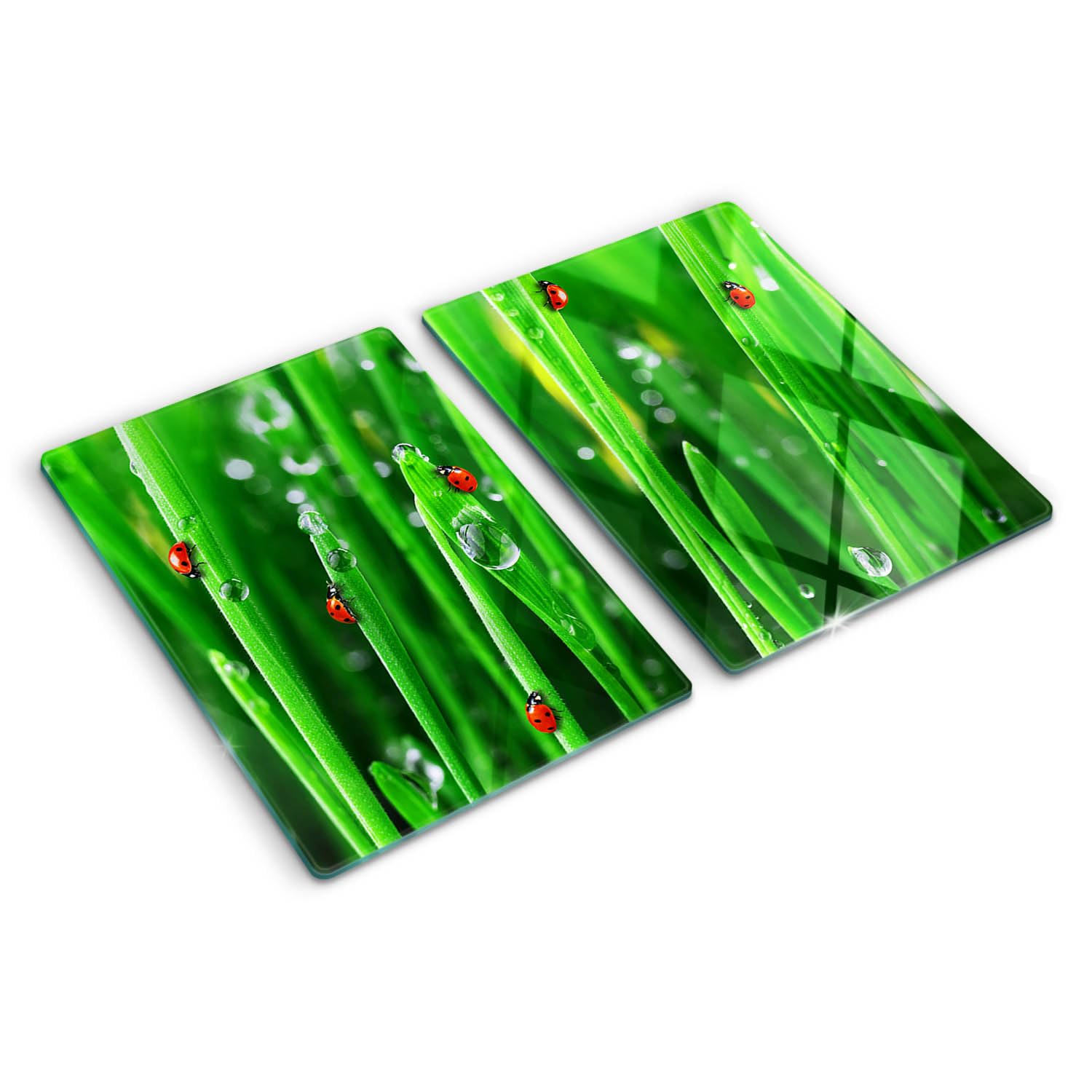 Planche en verre trempé design moderne bords polis herbe à coccinelles