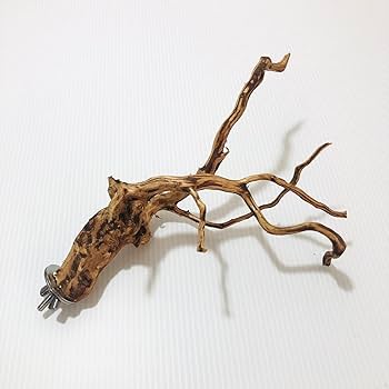 流木　止まり木　約82センチ Amazon | 鳥の止まり木 Sサイズ 約20cm 太さ1cm〜2cm パーチ