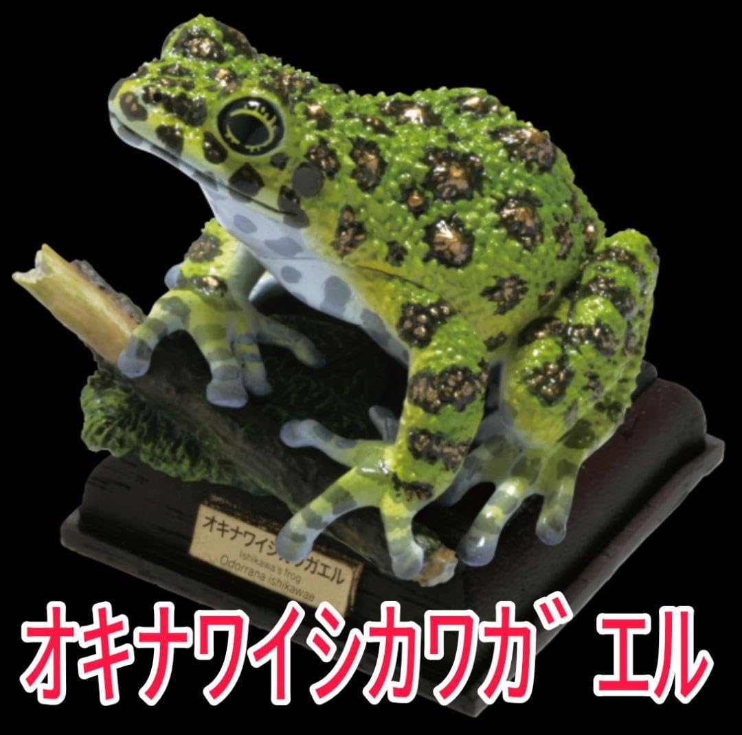 【旧版】ネイチャーテクニカラー 日本のカエル 「イシカワガエル」 旧版】ネイチャーテクニカラー 日本のカエル 「イシカワガエル