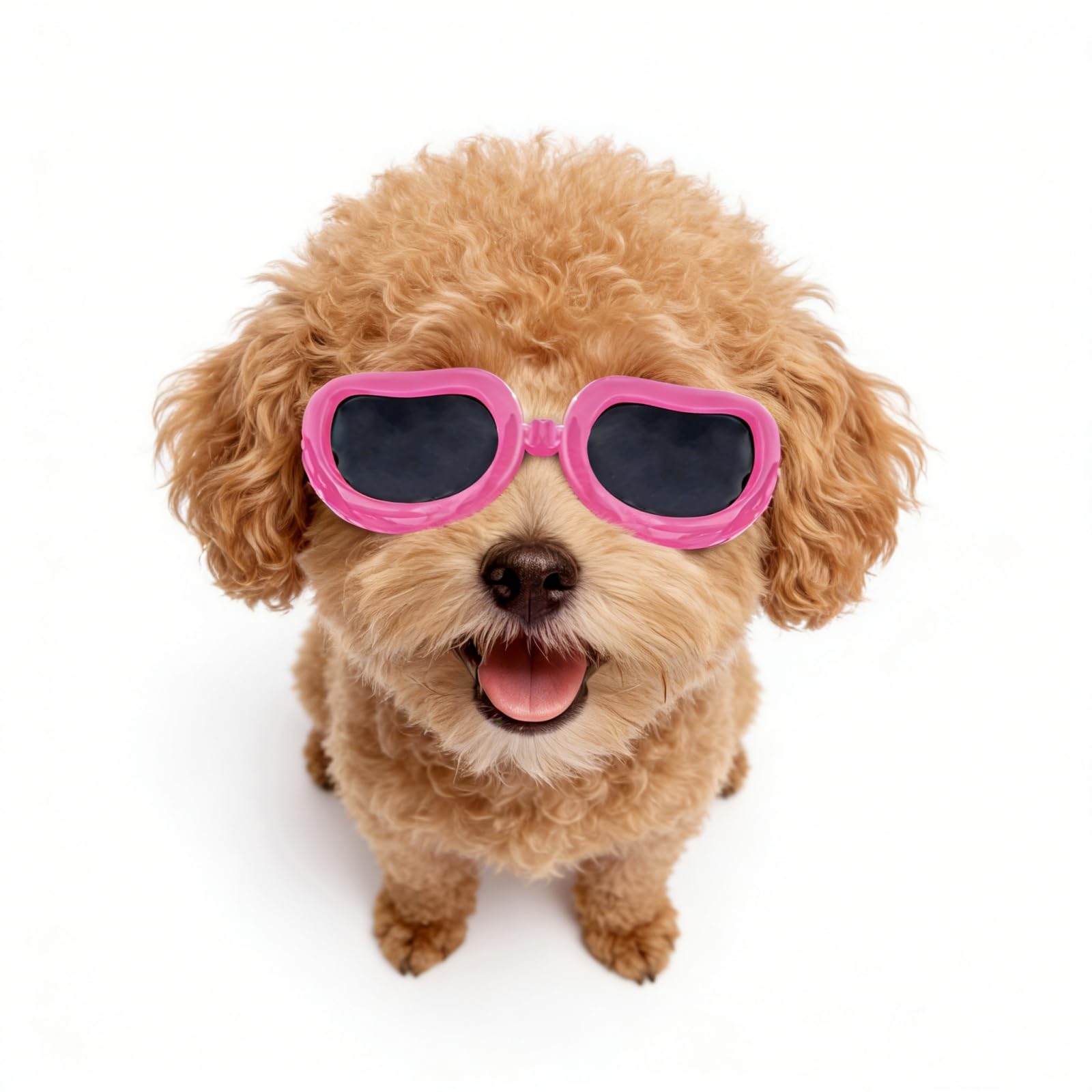 Amazon | Enjoying 犬 サングラス 小型犬、犬用サングラス紫外線保護