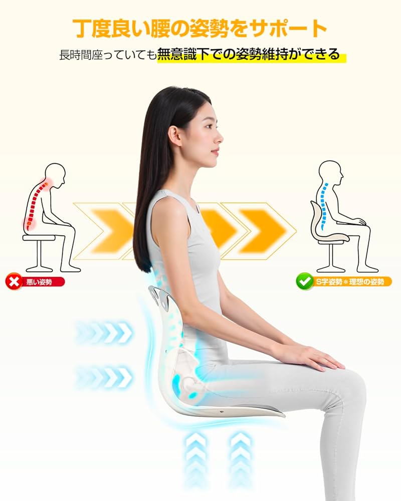 SOT理論書と姿勢矯正クッションセット 楽天市場】【美姿勢】骨盤 チェア 姿勢矯正 サポートチェア