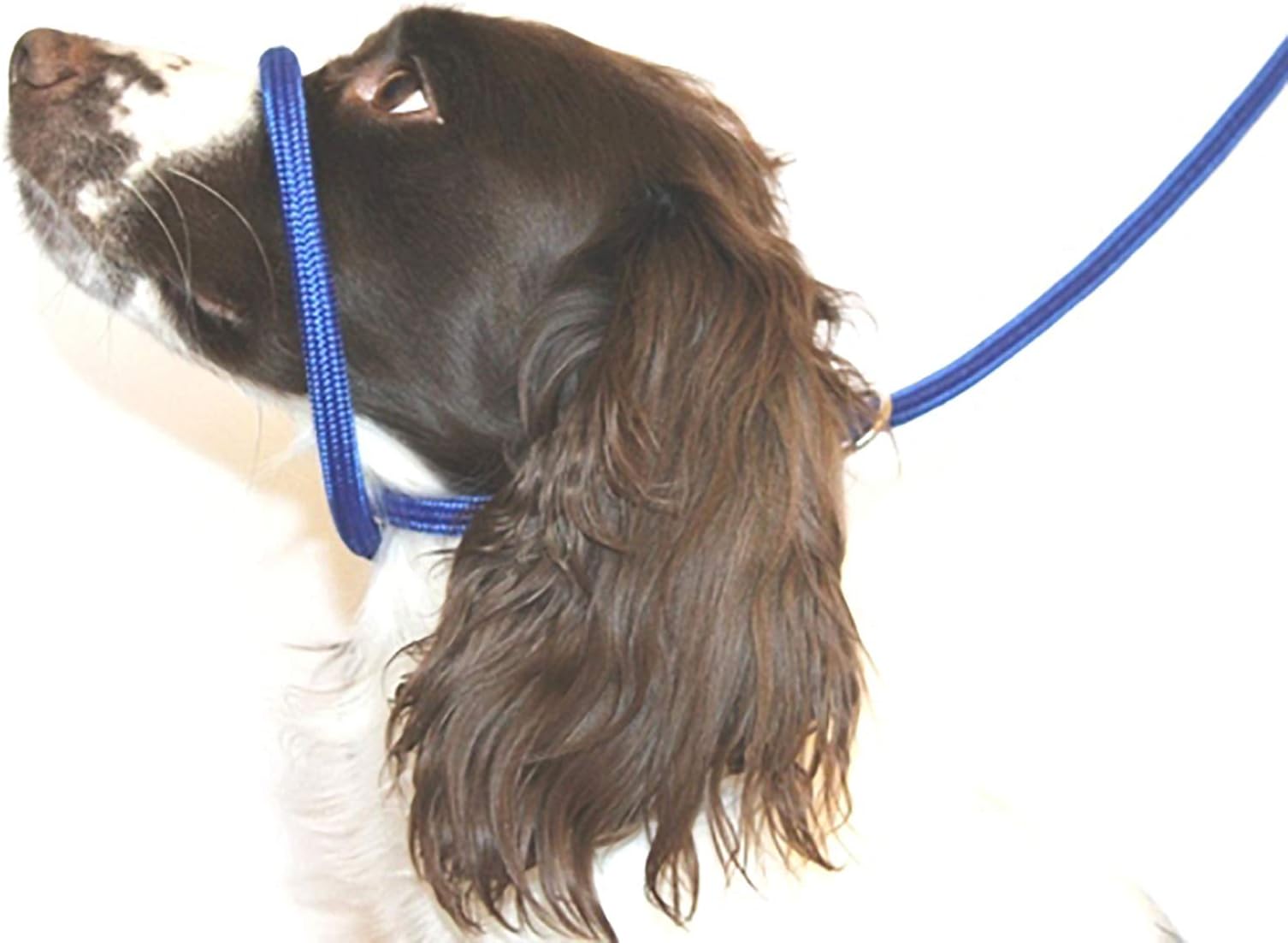 Figure 8 Anti Pull Lead/Halter/Head Collar - One Size Fits All - Soft Braided Nylon - Comfortable, Supple, Secure and Proven to Make Your Walks More Enjoyable - No More Pulling! (Blue)