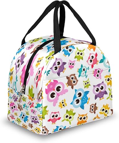 Colorful Funny Owls Lunch Tote Bag for Women Adult Men Insulated Lunch Box Small Leakproof Cute Lunchbox Cooler Bag Reusable Lunch Bag for Work