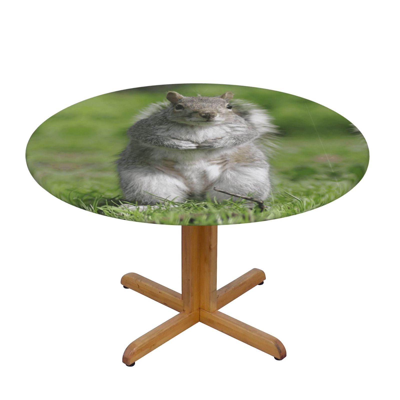 ESNAIUVCD Squirrel print Waterproof Round Tablecloth,Outdoor Table Cloth with Elastic Edged, Elastic Tablecloth Wipeable, Garden Table Cloth Suitable for sizes 90cm-140cm