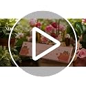 Image of NYASSA Highly Scented Jasmine Agarbatti /Incense Sticks - 50g, Night Blooming Jasmine Fragrance, Charcoal-Free Agarbatti for Pooja, Meditation, Home Freshness, Perfect for Special Occasions
