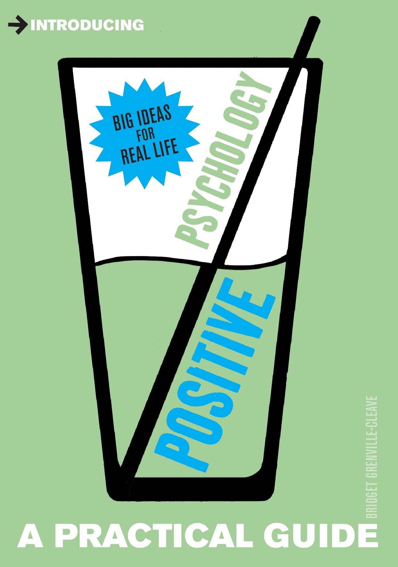Buy Introducing Positive Psychology: A Practical Guide (Practical Guide Series) — BookShops.in