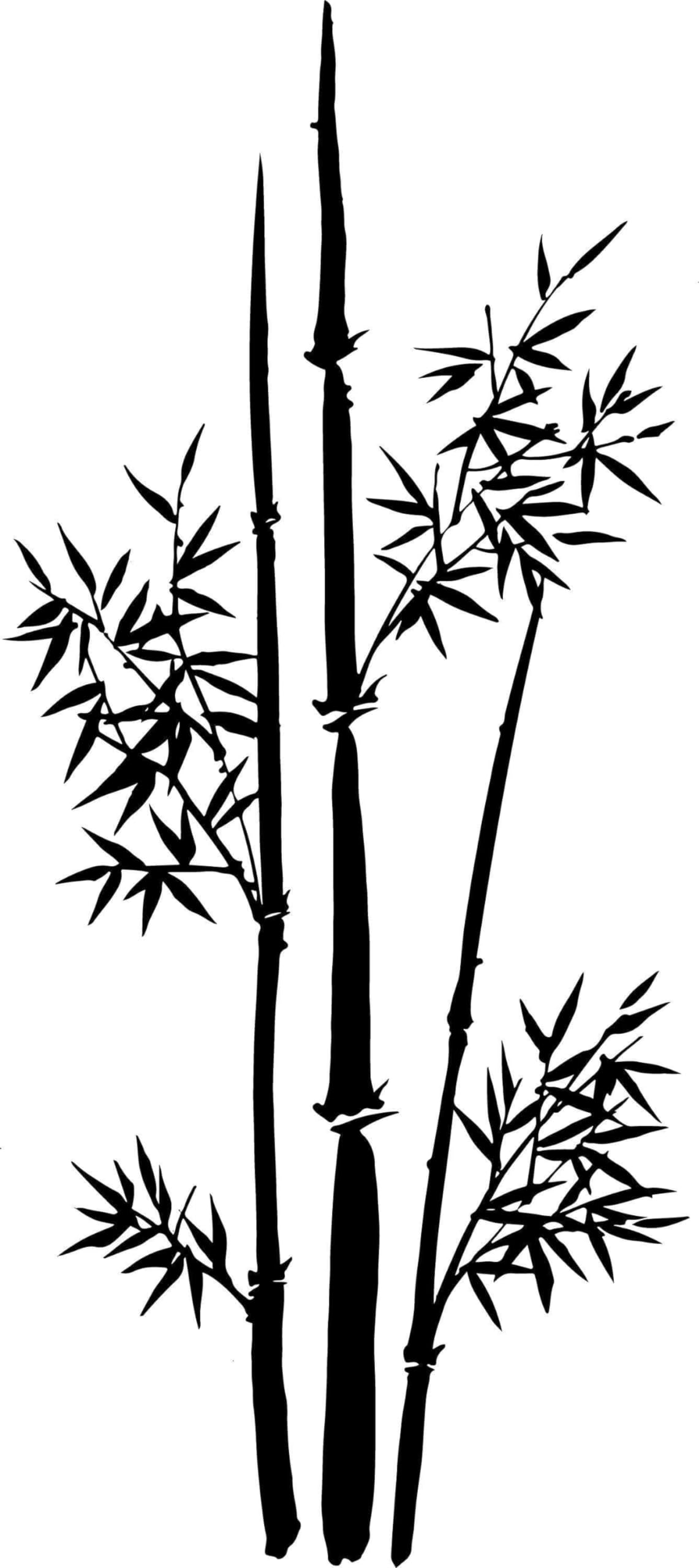 Arte de pared de bambú, vinilo Nature's Serenity, calcomanía decorativa de pared 72 x 134