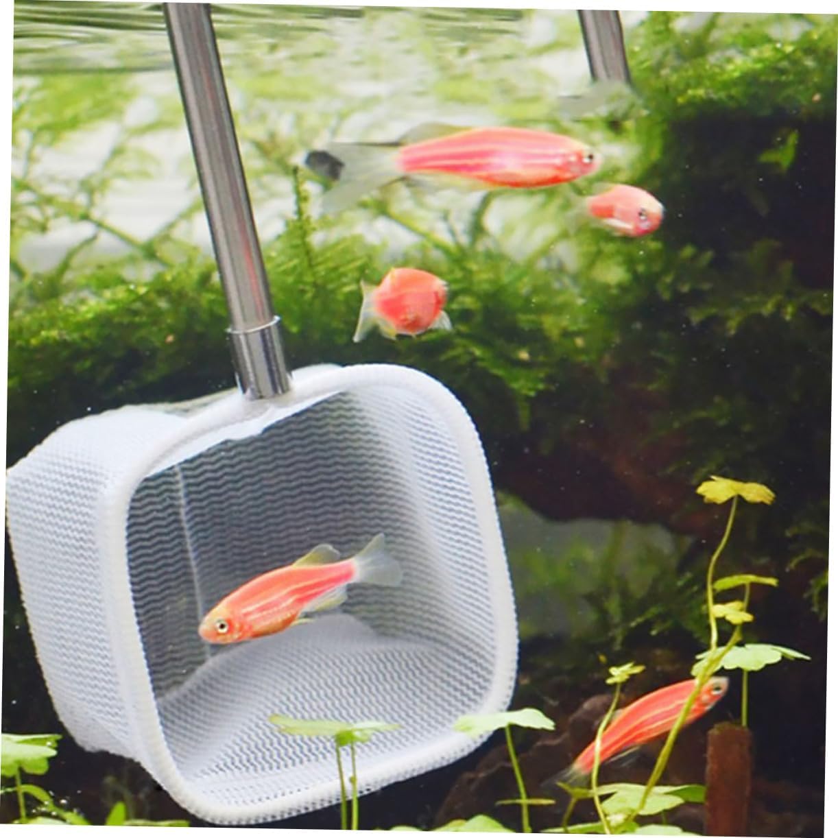 Yardwe Extendable Fish Net Retractable Telescopic Rod for Safe Fish and Shrimp Catching Portable Design with