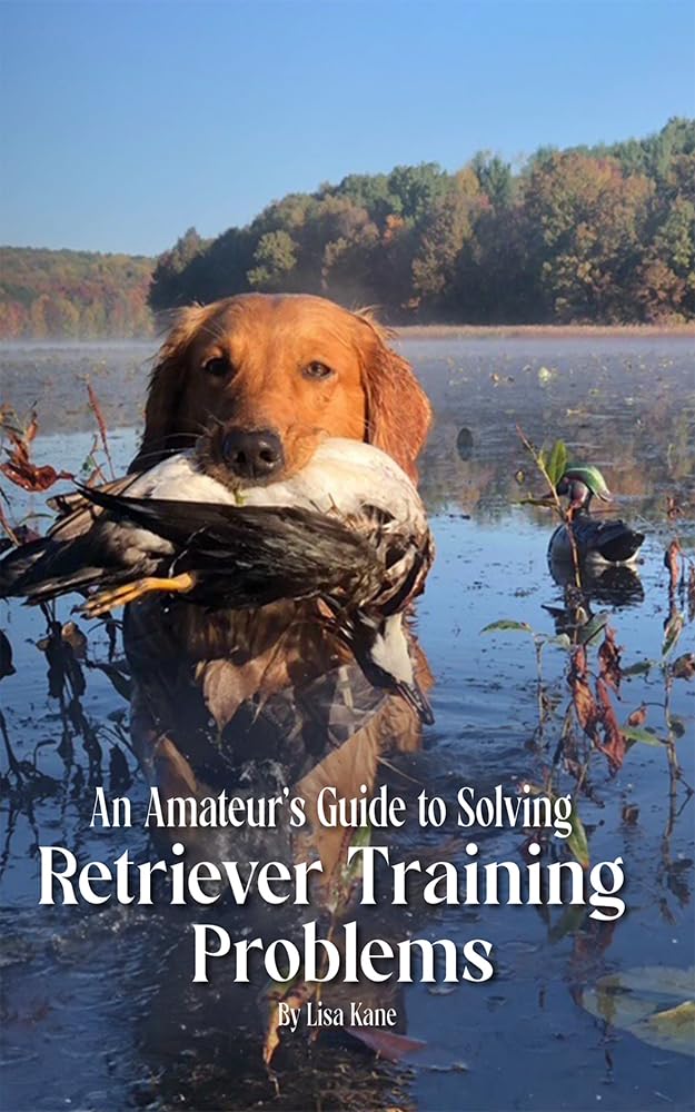 An Amateur’s Guide to Solving Retriever Training Problems